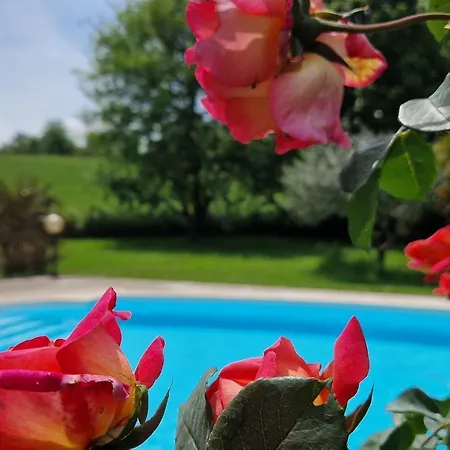 Le Ruisseau Du Bejean